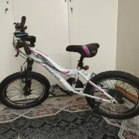 دوچرخه دنده ای سایز 20