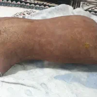 مشک دوغ و ماست