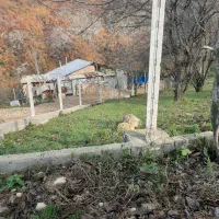 زمین ۲۵۰،۱۵۰متری در ولم|فروش زمین و ملک کلنگی|بهشهر, |دیوار