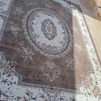 فرش کار کرده|فرش|سوسنگرد, |دیوار