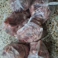 اسکلت و گردن تازه زیر قیمت|خوردنی و آشامیدنی|مسجد سلیمان, |دیوار