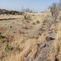 فروش زمین کشاورزی