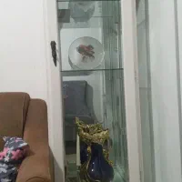 ویترین کاملا سالم بدون شکستگی وخط وخش|بوفه، ویترین، کنسول|رشت, حمیدیان|دیوار