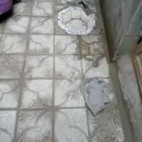 استا همه کاری