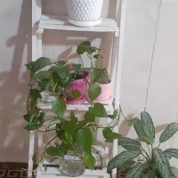 استند سه طبقه