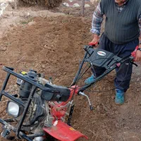 کلیه خدمات باغبانی وسمپاشی