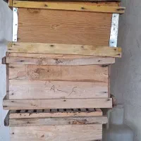 ۸ عدد طبق همگی سالم یکبار استفاده شدن