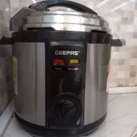 زودپز برقی جیپاس ۱۰ کاره درحد و کم کارکردو سالم