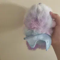 اسکول پاندا