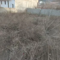 فروش-زمین-ویلایی-حدودا-400-متری-دراستارا-کانرود