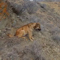 قیمت 7میلیون