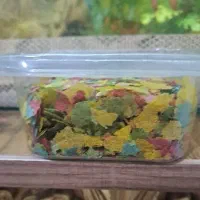 غذای پولکی باکیفیت ماهی