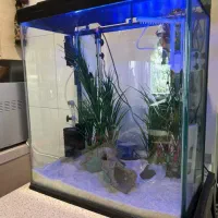 ست کامل آکواریوم با تجهیزات حرفه‌ای