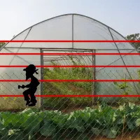 امنیت گلخانه خود را جدی بگیرید|دوربین مداربسته|تنکابن, |دیوار