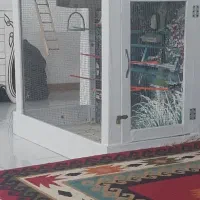 قفس  چوبی  اندازه اش ۱ متر هست