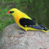 ساخت انواع پرندگان کچه