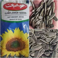 فروش تخمه آفتابگردان شور و خام