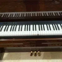 پیانوی تاشو|پیانو، کیبورد، آکاردئون|یزد, |دیوار