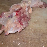 فروش اسکلت مرغ