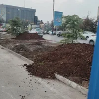 کودگاوی|خدمات باغبانی و درختکاری|مشهد, میان ولایت|دیوار