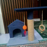 اسکرچر گربه