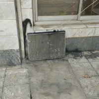 رادیات ۲۰۶ تیپ ۳|قطعات یدکی و لوازم جانبی|کرج, احدآباد|دیوار