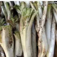 کنگره بفروش می رسد