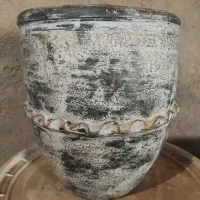 گلدان|گل و گیاه طبیعی|لالجین, |دیوار