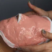 استخدام فیشیالکار، اپراتورلیزر