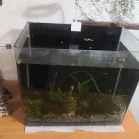 آوکواریوم شیشه خم با شن