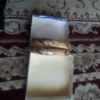 النگو زیبا