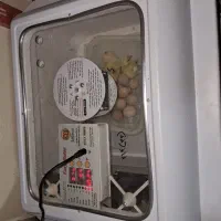 جوجه کشی ایزی باتور۲ .گنجایش ۹۶ عددی تخم مرغ|لوازم جانبی حیوانات|سنندج, |دیوار