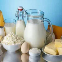 لبنیات سنتی تولید روز