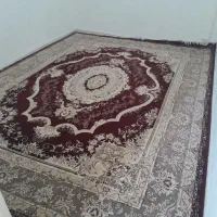 فرش دسته دوم|فرش|کرمانشاه, |دیوار