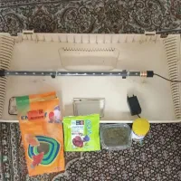 آکواریوم ماهیران|ماهی|ارومیه, |دیوار