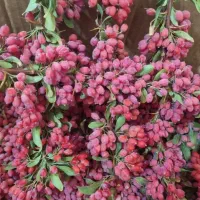 زرشک وزعفران