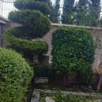 کلیه خدمات باغی وباغچه ای و علف تراشی