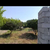 باغ یک دقیقی شهر آماده ساخت