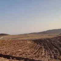 زمین کشاورزی 5000 متری ایپک سند تکبرگ|فروش زمین و ملک کلنگی|اشتهارد, |دیوار