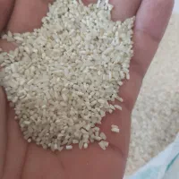 برنج نیم دانه نیمه شیرودی اعلا