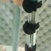 تعویض ماهی آکواریوم با گیاه|ماهی|فردیس, شهرک ۱۱۰|دیوار