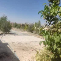 باغ شهری|فروش زمین و ملک کلنگی|شیراز, داریون|دیوار