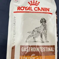 غذای خشک سگ