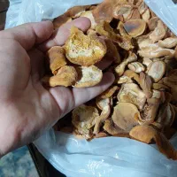 فروش آلو وبرگ زردآلو|خوردنی و آشامیدنی|یاسوج, |دیوار