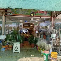 مغازه غرفه 46 بازار گل خیام