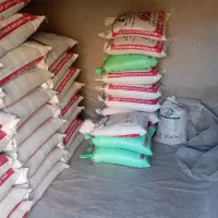 گندم بذری پیشگام|عمده‌فروشی|گنبد کاووس, |دیوار