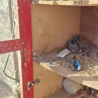 قفس جفت خون ۵ طبقه ۲ جدا در آسان باز|لوازم جانبی حیوانات|قم, دروازه چوبی|دیوار