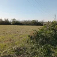 ۱۱۳۰۰مترشالیزارسنتی/زیرقیمت واقعی/چسبیده به انشعاب|فروش زمین و ملک کلنگی|آستانه اشرفیه, |دیوار