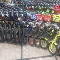 المپیا تنه شتری