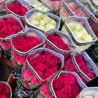 استخدام ادمین اینستاگرام/ورامین|استخدام رایانه و فناوری اطلاعات|ورامین, ورامین|دیوار